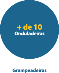 + de 10